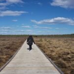Exploring Entropin Partone: Five Must-Do Activities in Jönköping