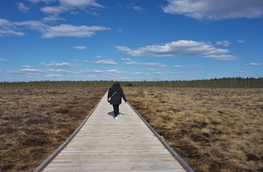 Exploring Entropin Partone: Five Must-Do Activities in Jönköping